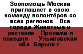 Зоопомощь.Москва приглашает в свою команду волонтёров со всех регионов - Все города Животные и растения » Пропажи и находки   . Ульяновская обл.,Барыш г.